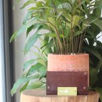 Ví dài cầm tay da bò cao cấp Lano VCTN093