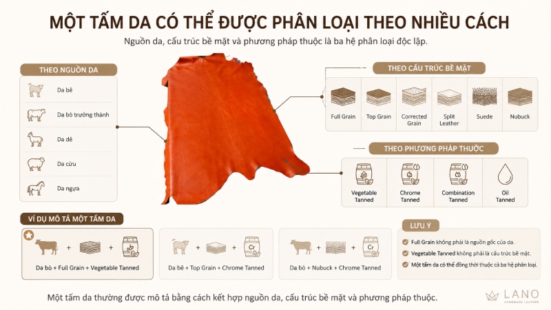Ba lớp phân loại da thật